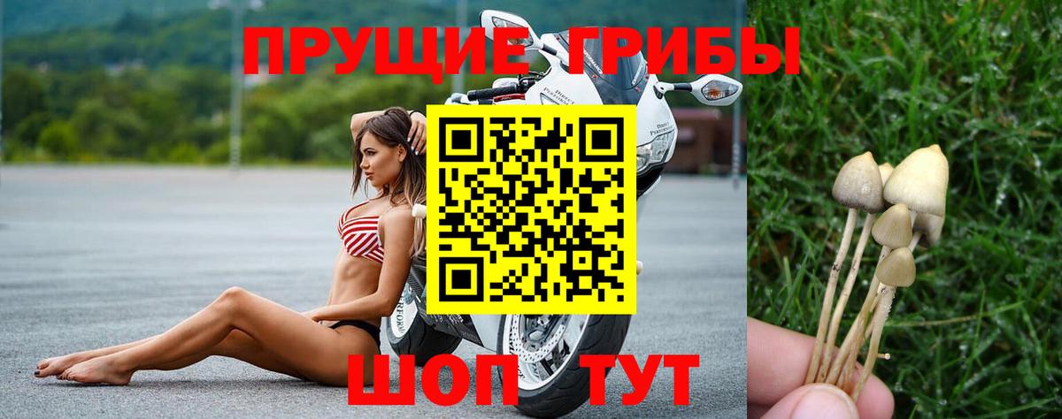 Галлюциногенные грибы ЛСД  Вход с VPN  Кимры 